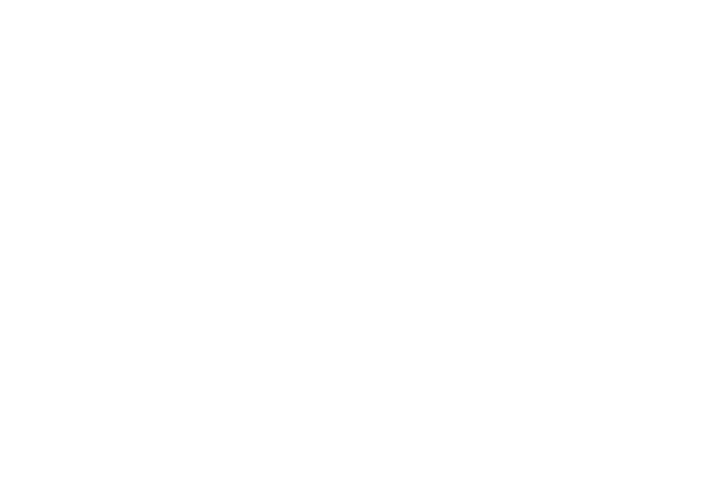 Mesh ID logo