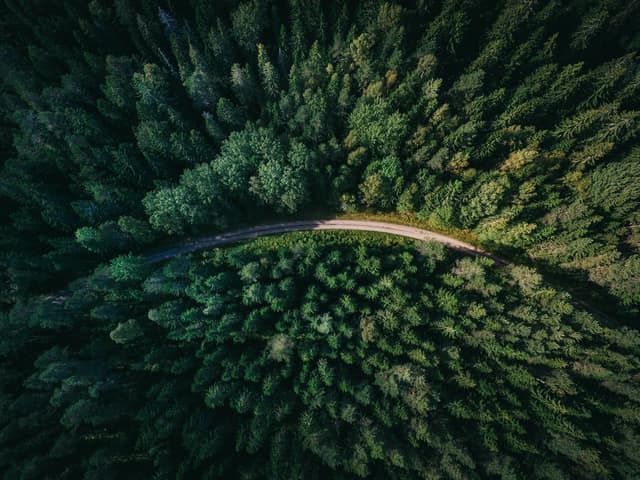 Webinar: 2026 outlook voor EU Carbon EUA prijzen