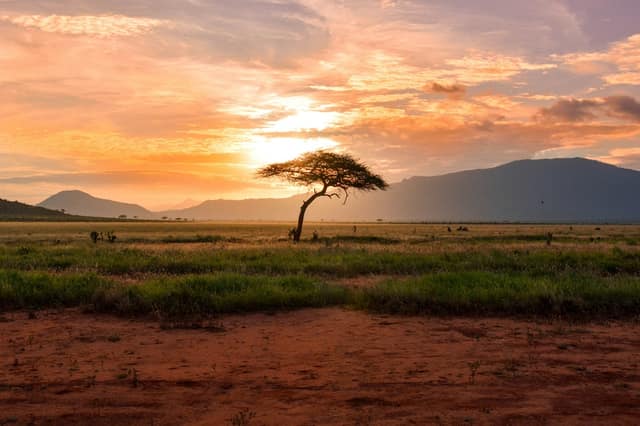 TCM Africa High Dividend Equity