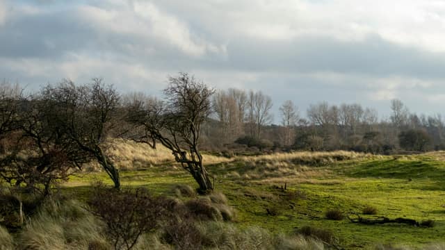 Fresh Dutch SME Fund