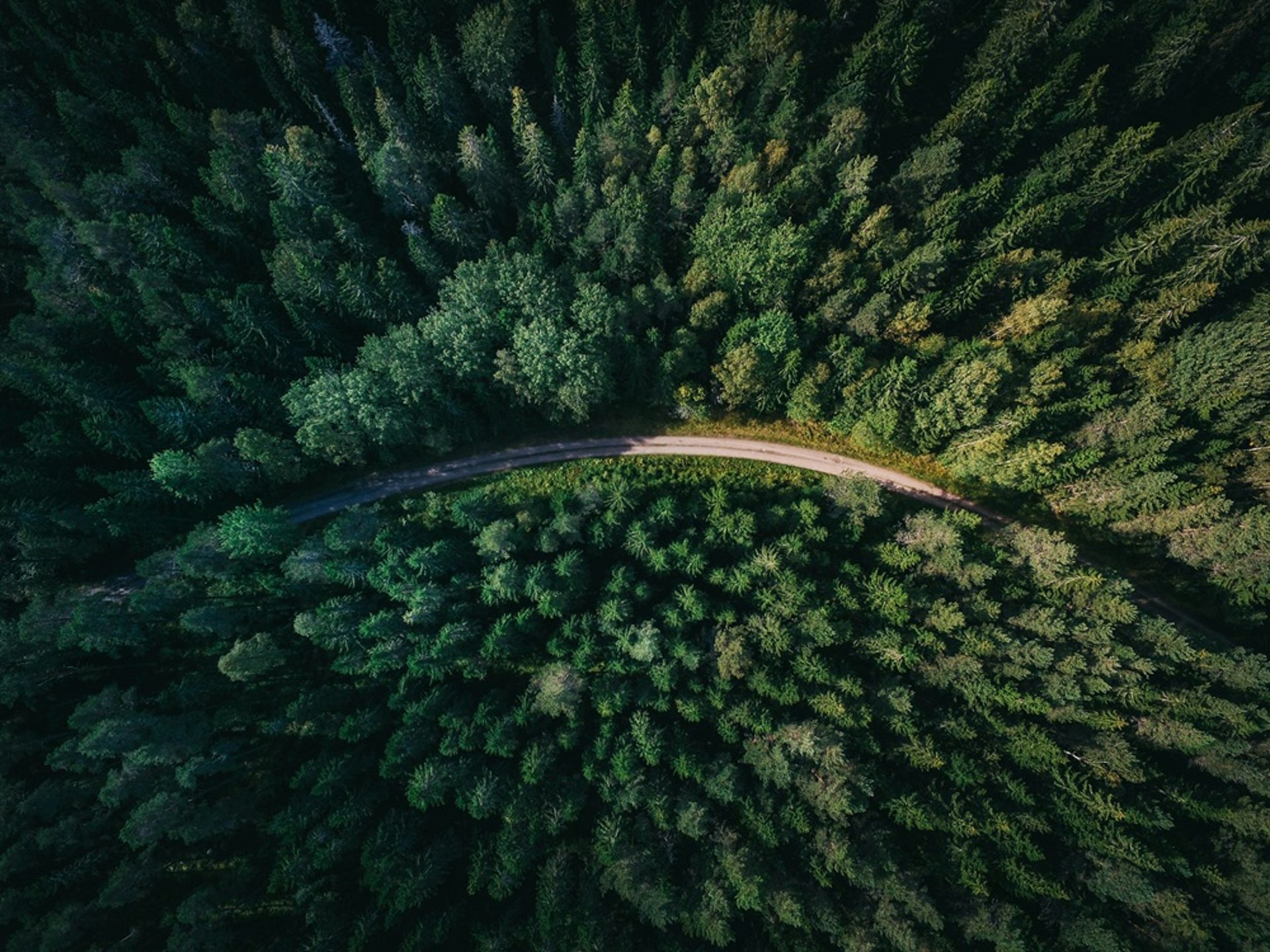 Webinar: 2026 outlook voor EU Carbon EUA prijzen